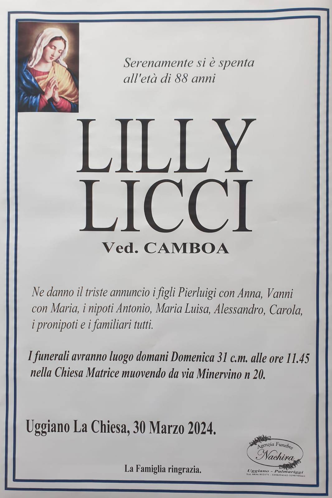 Lilly Cicci